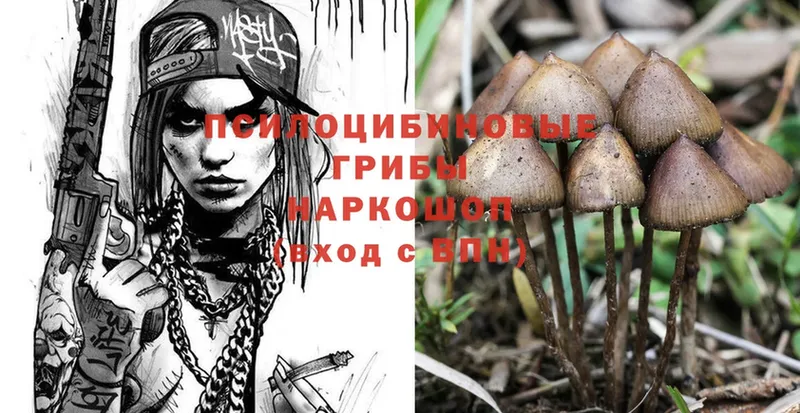 Галлюциногенные грибы Psilocybine cubensis  МЕГА tor  Арск 